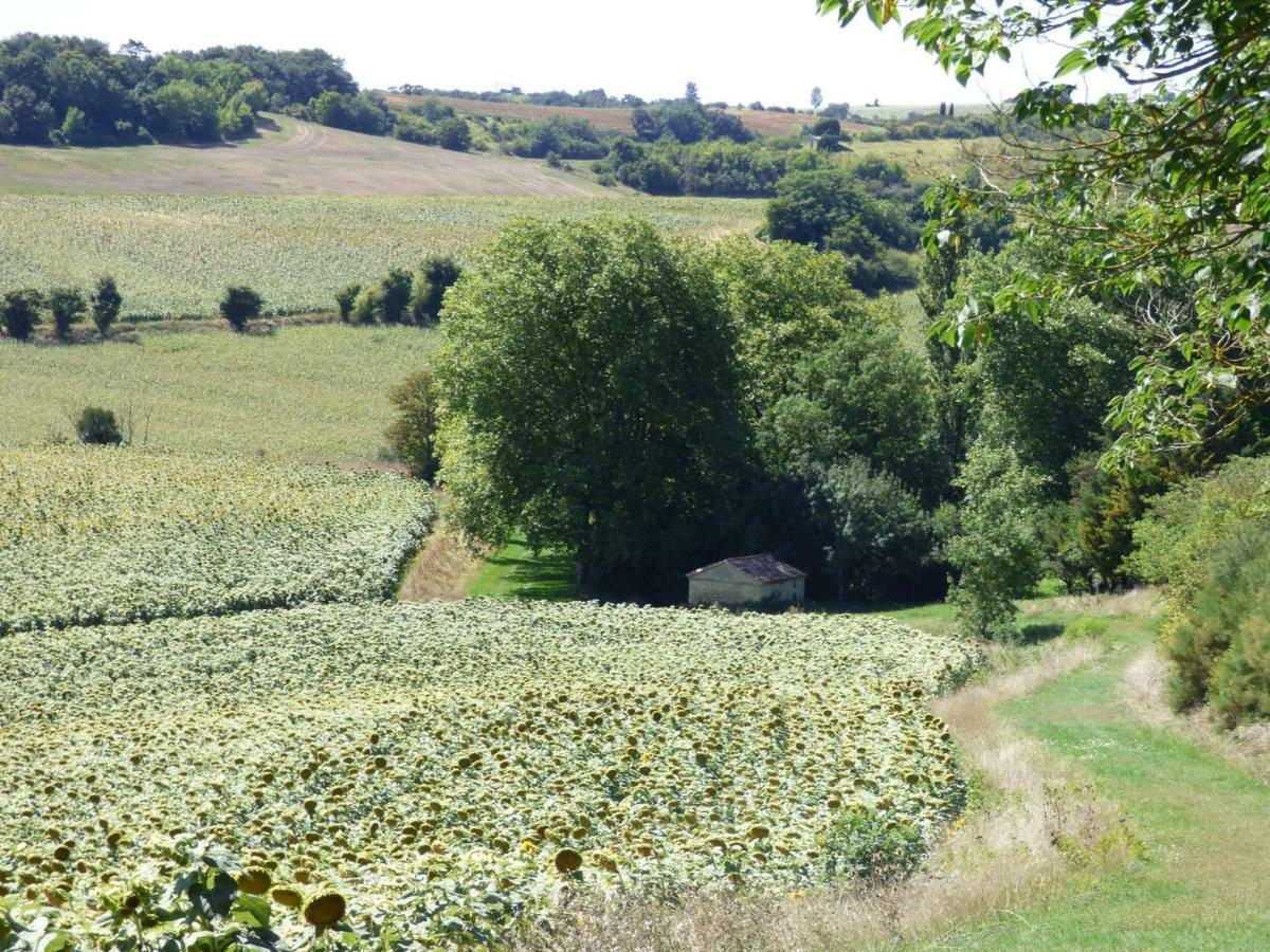 Domaine En Castanet Caraman Exterior foto